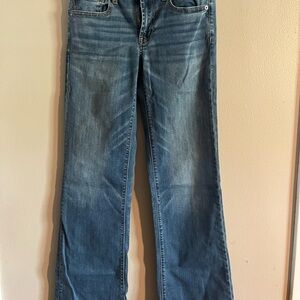 American Eagle Outfitters Blue Flare Wide Leg Jeans